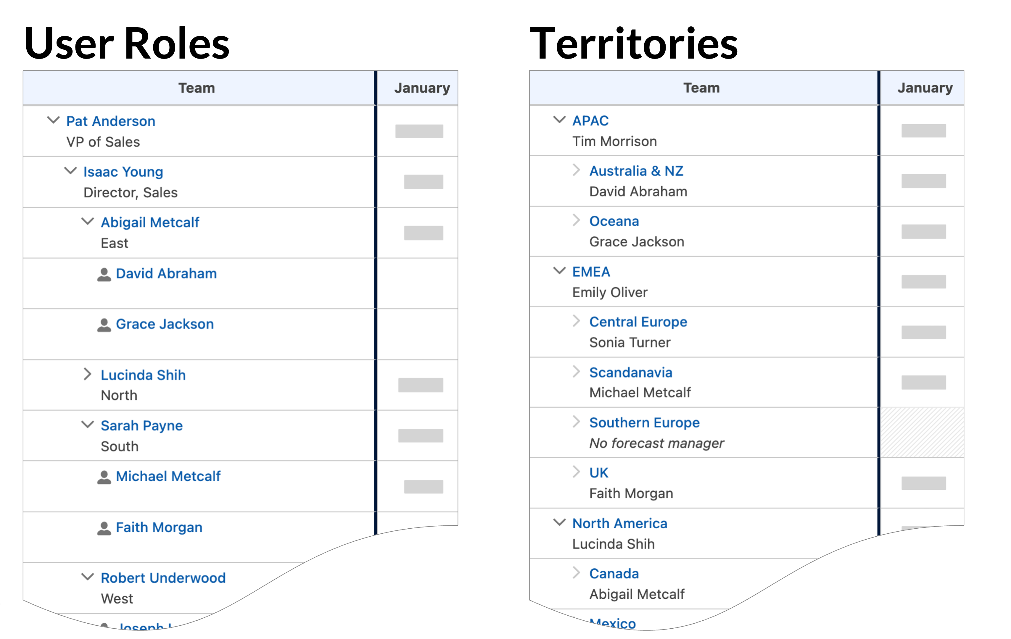 Supports both User Role and Territory-based Hierarchies